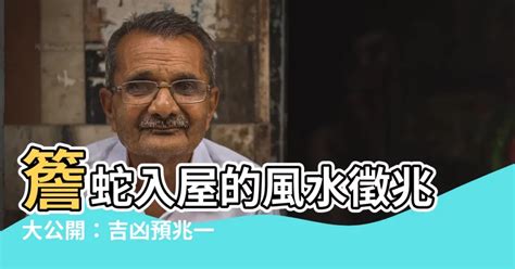 四腳蛇入屋風水